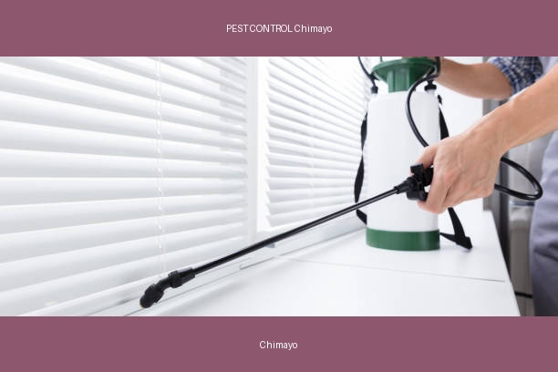PEST CONTROL Chimayo